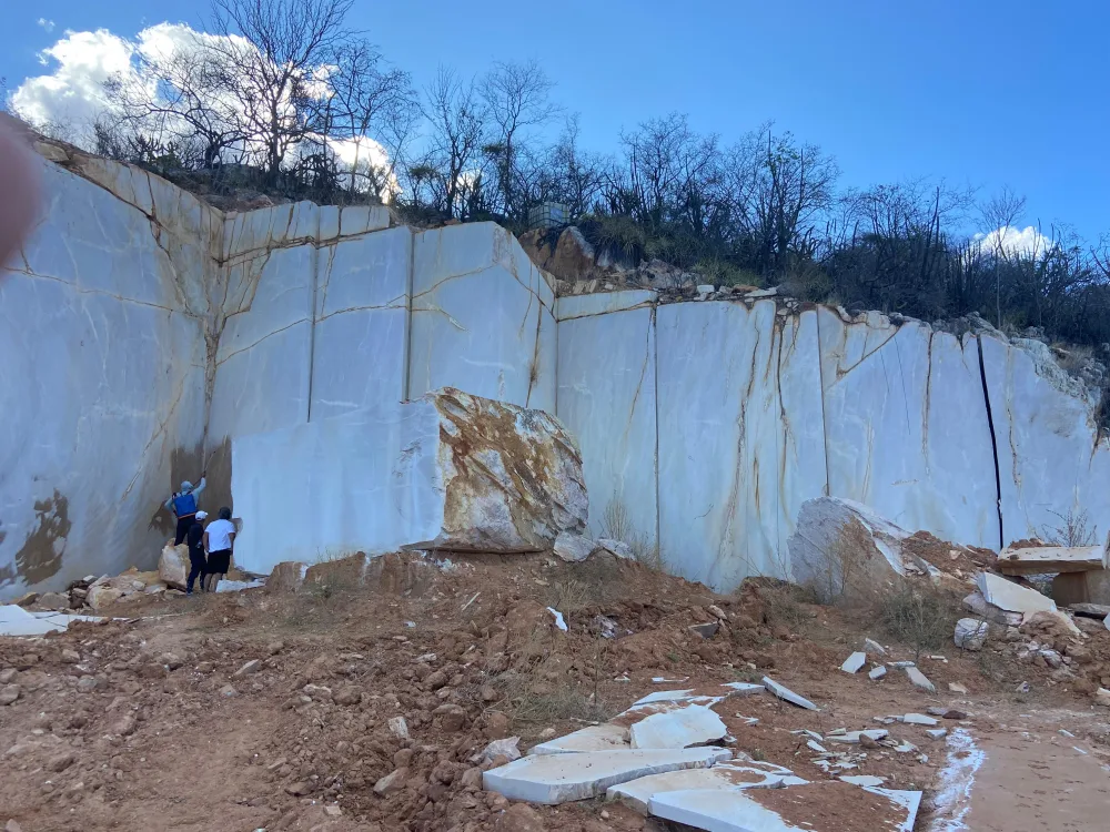 Bali Brown Quartzite