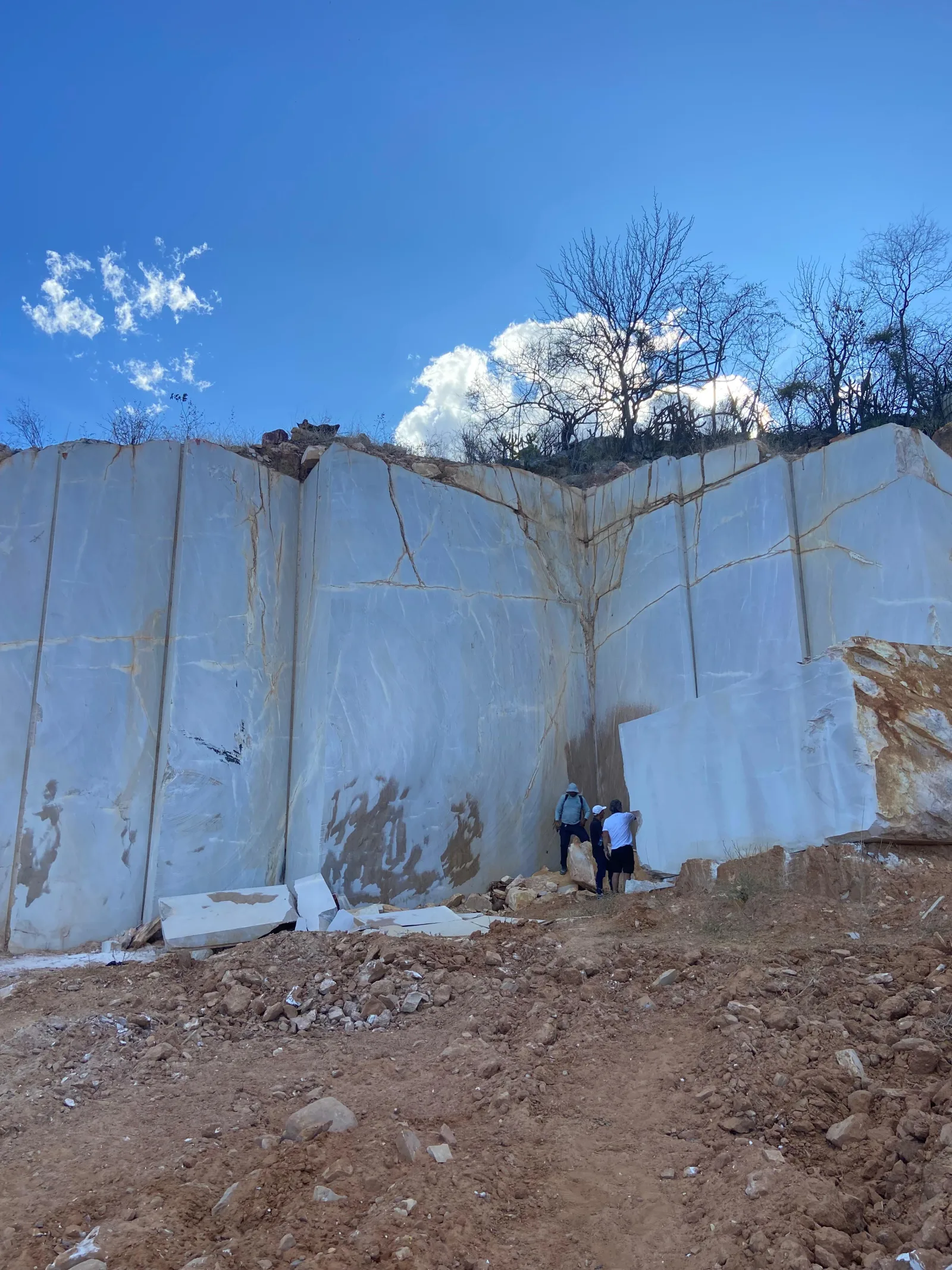 Bali Brown Quartzite
