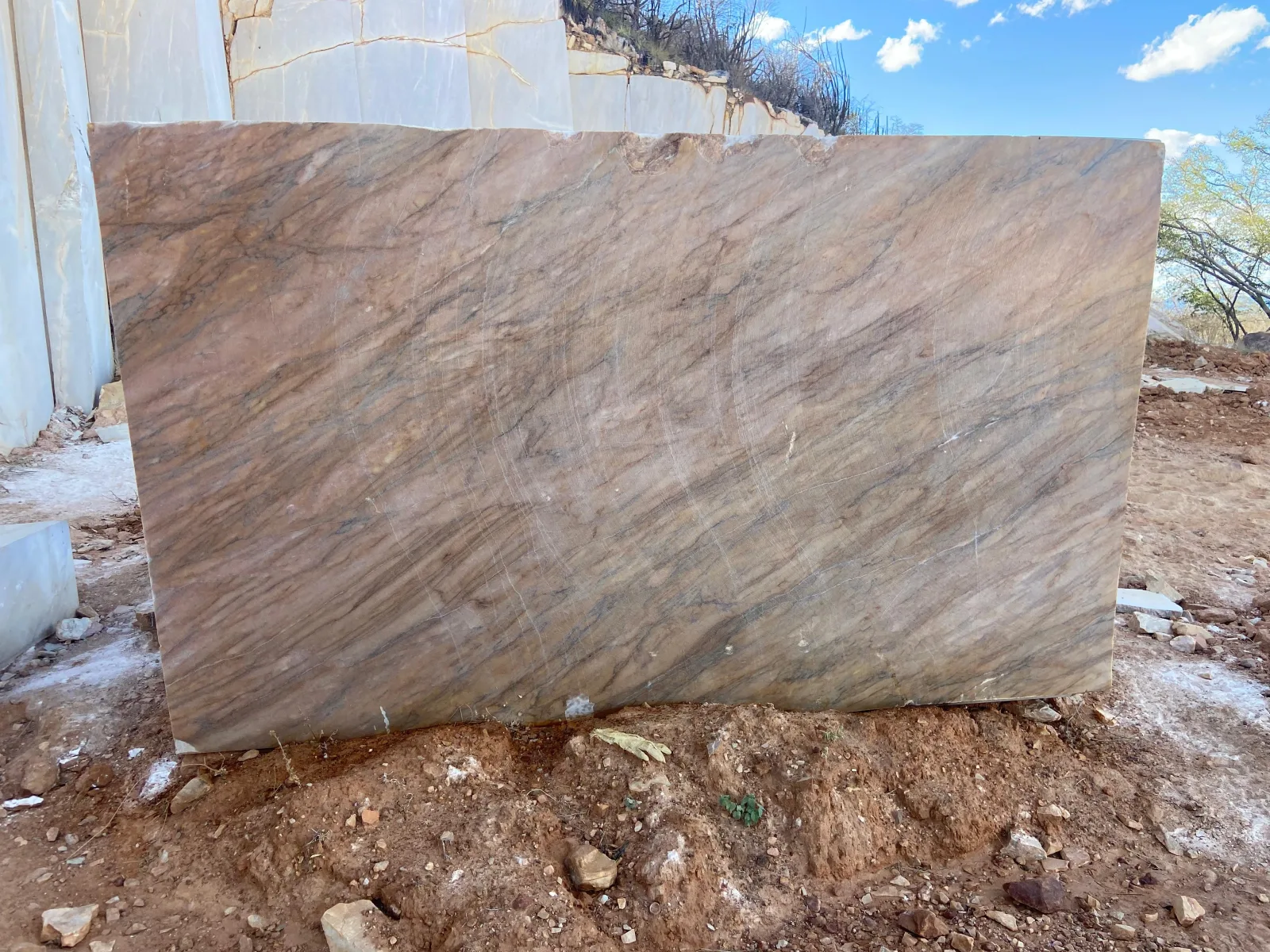 Bali Brown Quartzite